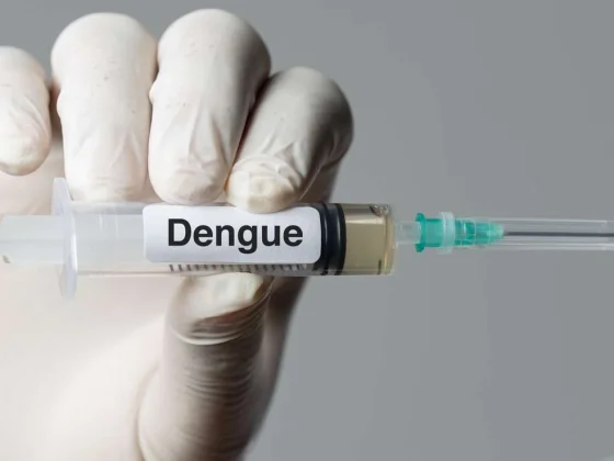 Is Southeast Asia losing the battle against dengue?